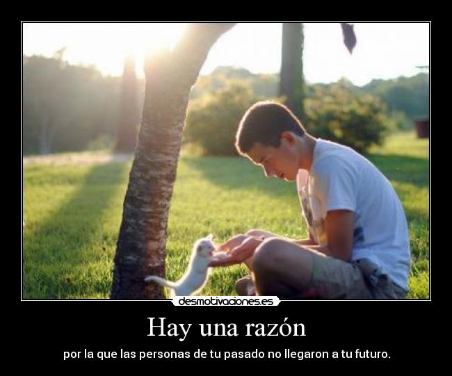 carteles hay una razon por que las personas pasado llegaron futuro lolsomething desmotivaciones