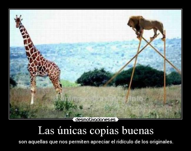 Las únicas copias buenas - 