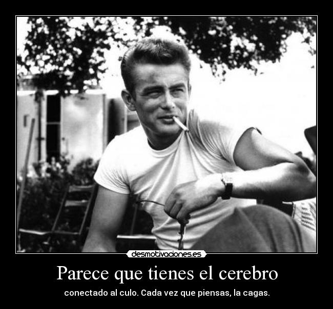 Parece que tienes el cerebro - conectado al culo. Cada vez que piensas, la cagas.