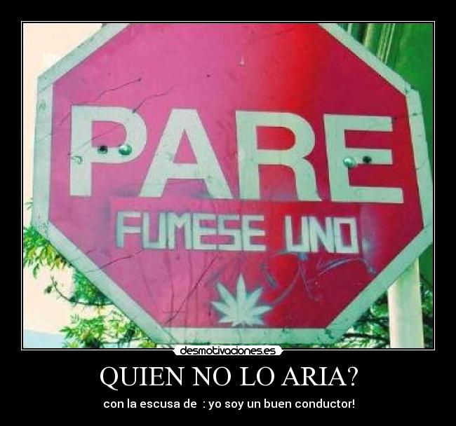 QUIEN NO LO ARIA? - con la escusa de  : yo soy un buen conductor!