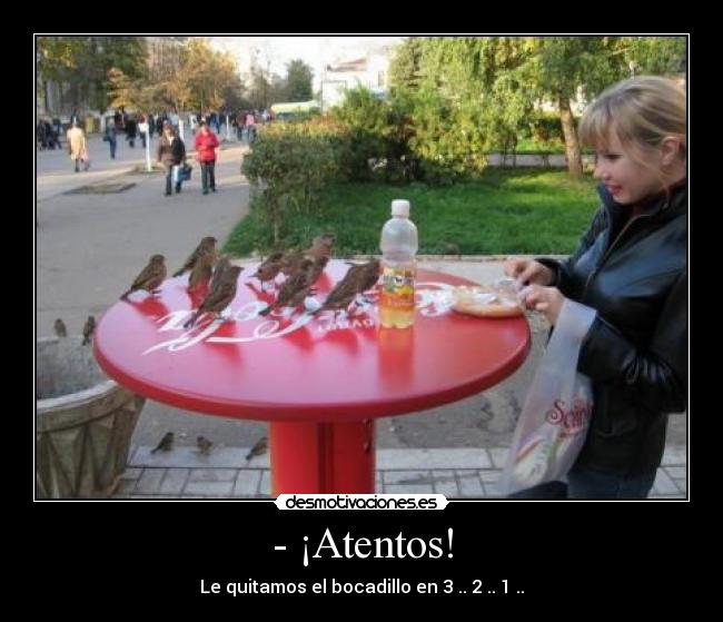 - ¡Atentos! - Le quitamos el bocadillo en 3 .. 2 .. 1 ..