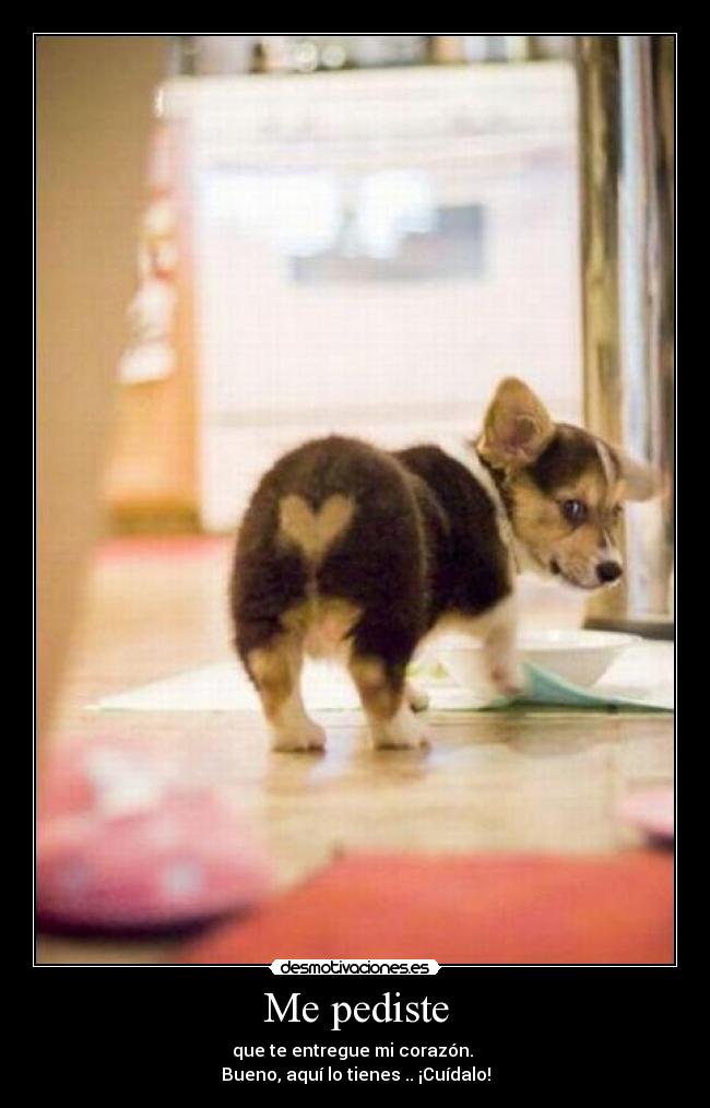 Me pediste - que te entregue mi corazón. 
Bueno, aquí lo tienes .. ¡Cuídalo!