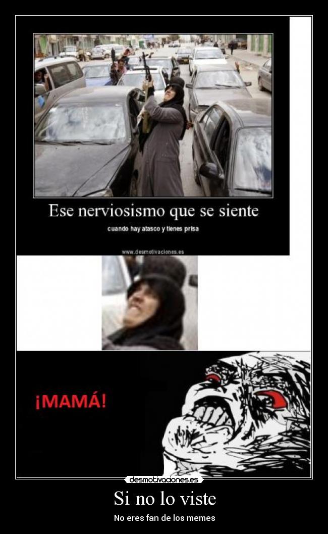 Si no lo viste - No eres fan de los memes