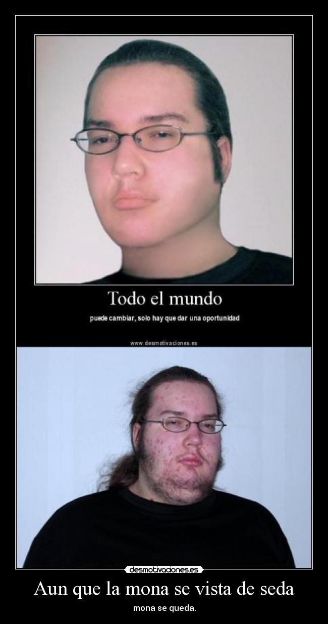 Aun que la mona se vista de seda - mona se queda.