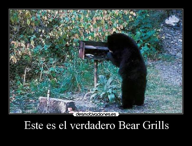 carteles bear grylls ugn2010 desmotivaciones