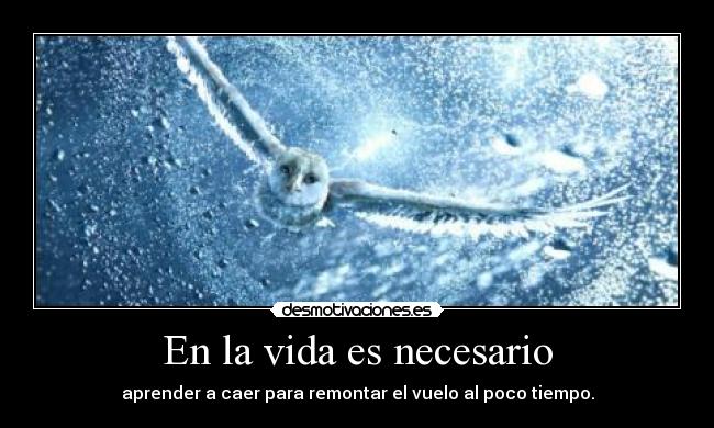 En la vida es necesario - 