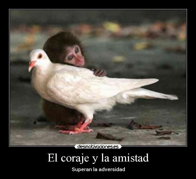 carteles amistad peke89 amistad coraje adversidad desmotivaciones