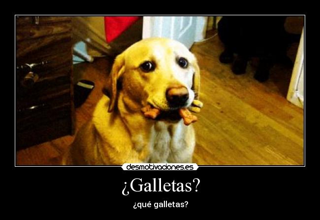 ¿Galletas? - 