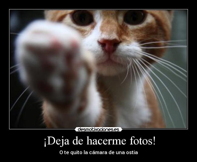 ¡Deja de hacerme fotos! - 