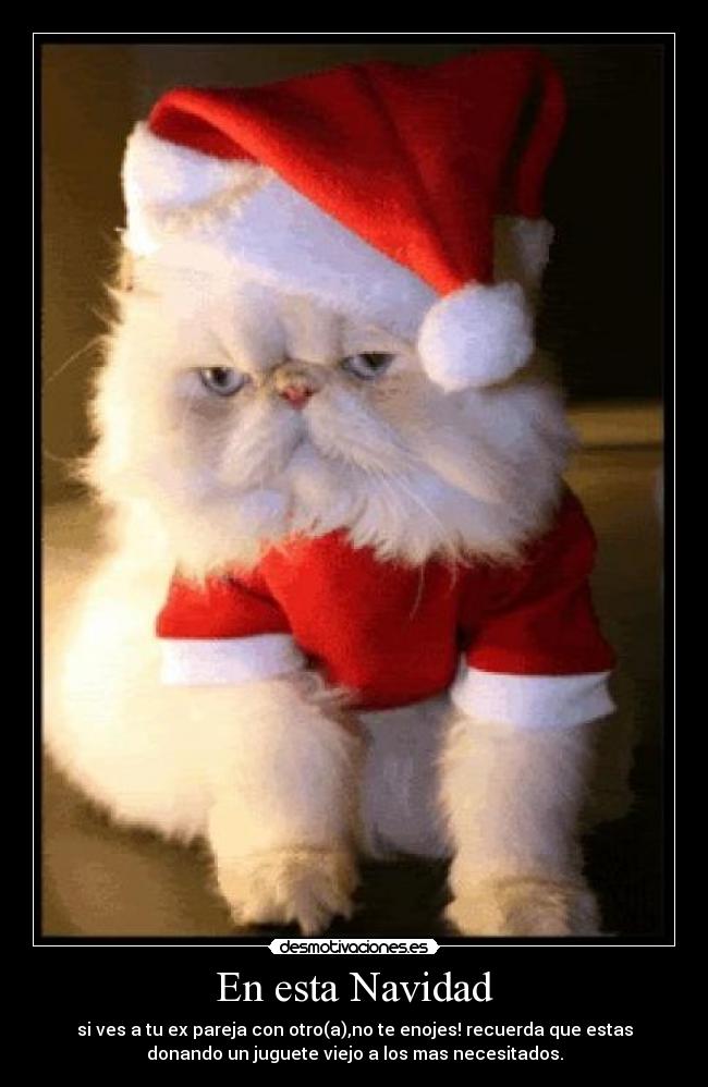 En esta Navidad - si ves a tu ex pareja con otro(a),no te enojes! recuerda que estas
donando un juguete viejo a los mas necesitados.