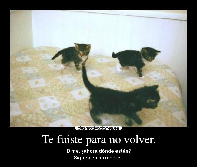 Te fuiste para no volver. -