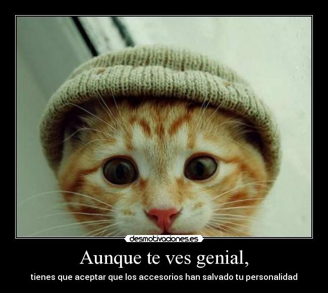 Aunque te ves genial, - tienes que aceptar que los accesorios han salvado tu personalidad