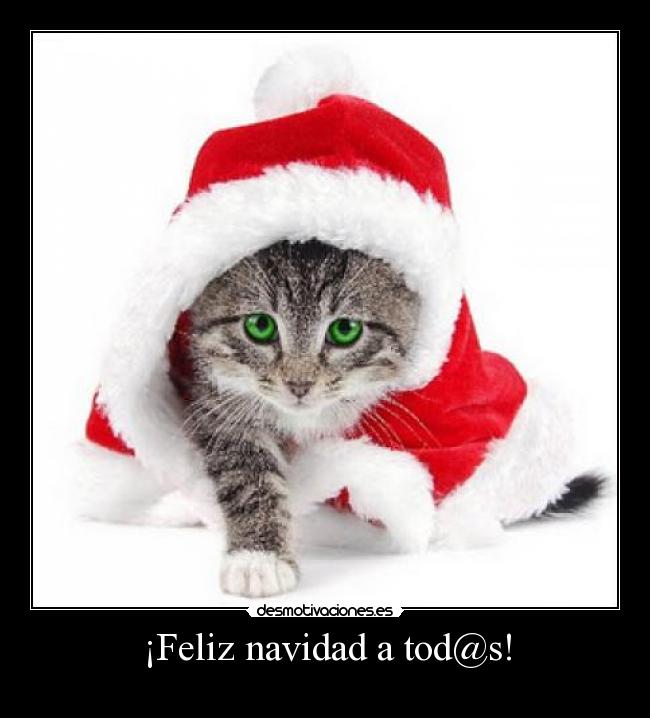 ¡Feliz navidad a tod@s! -