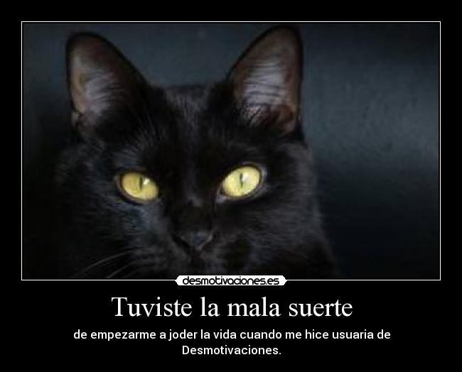 Tuviste la mala suerte - de empezarme a joder la vida cuando me hice usuaria de Desmotivaciones.