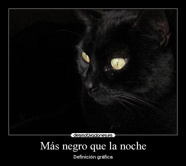 carteles mas negro que noche definicion grafica gato desmotivaciones