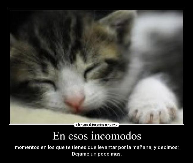 En esos incomodos - momentos en los que te tienes que levantar por la mañana, y decimos:
Dejame un poco mas.