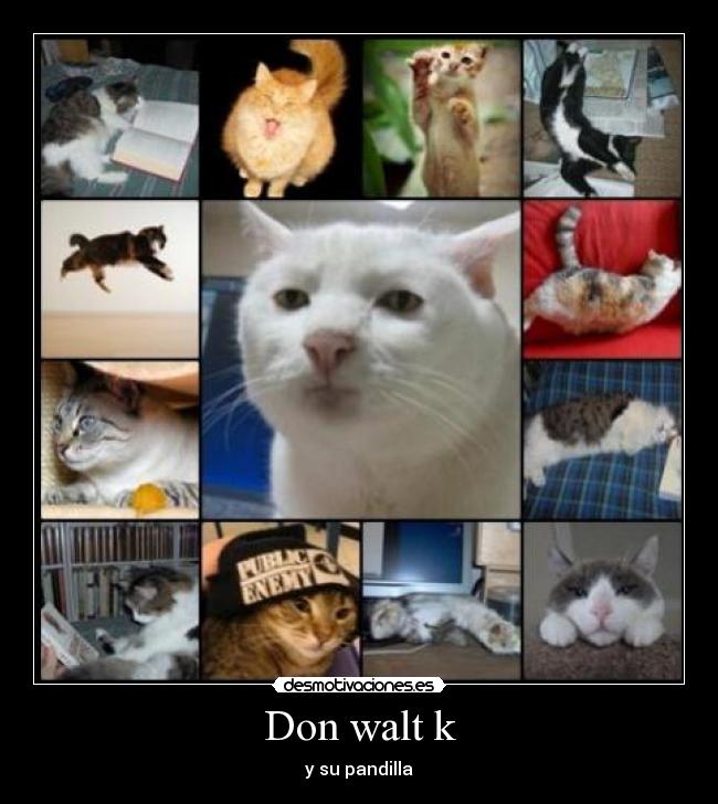 Don walt k - y su pandilla