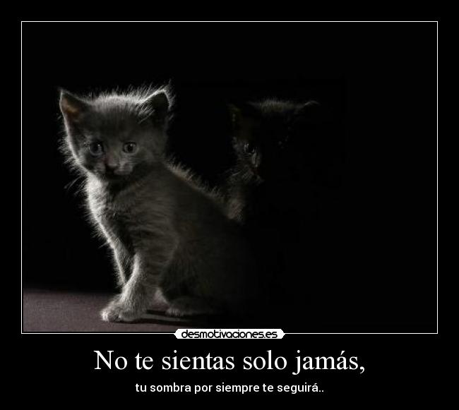 No te sientas solo jamás, - tu sombra por siempre te seguirá..