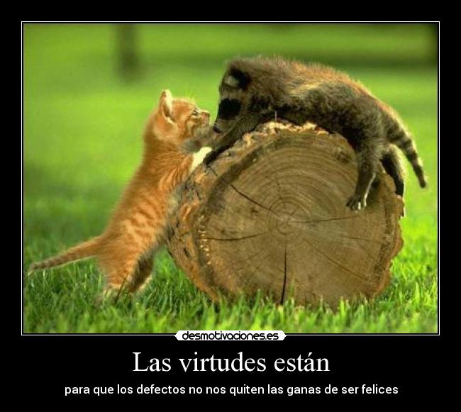 Las virtudes están - para que los defectos no nos quiten las ganas de ser felices