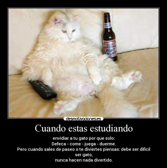 Cuando estas estudiando -