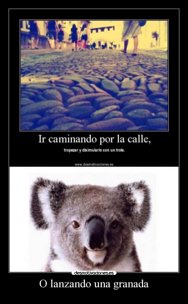 carteles victor93 dio idea jajajj puto amo diego party intruders desmotivaciones