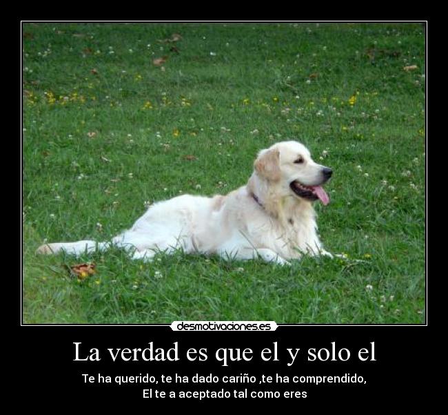 La verdad es que el y solo el -