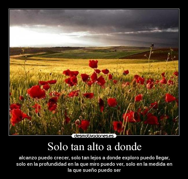 Solo tan alto a donde - alcanzo puedo crecer, solo tan lejos a donde exploro puedo llegar,
solo en la profundidad en la que miro puedo ver, solo en la medida en
la que sueño puedo ser