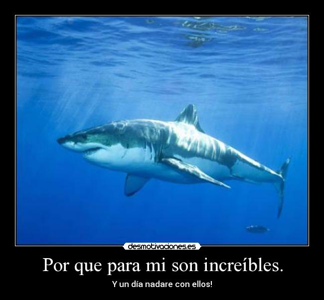 carteles algun dia desmotivaciones