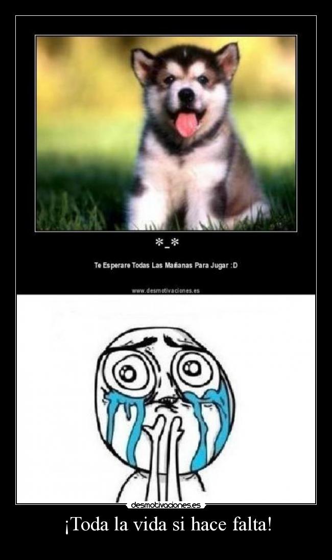 ¡Toda la vida si hace falta! -