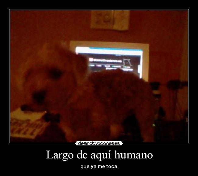 Largo de aquí humano -