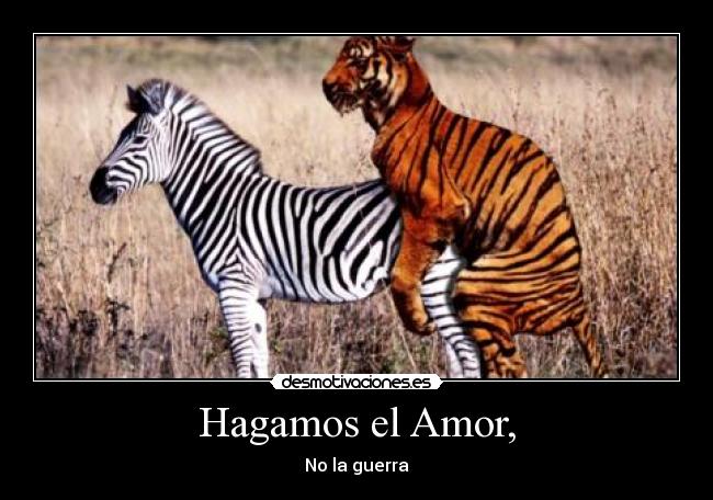 carteles amor amor guerra animales desmotivaciones