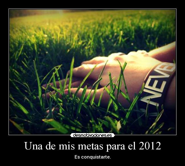 Una de mis metas para el 2012 - 