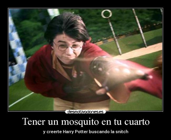 Tener un mosquito en tu cuarto - y creerte Harry Potter buscando la snitch
