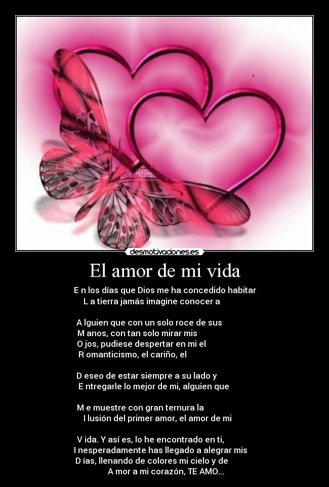El amor de mi vida - 