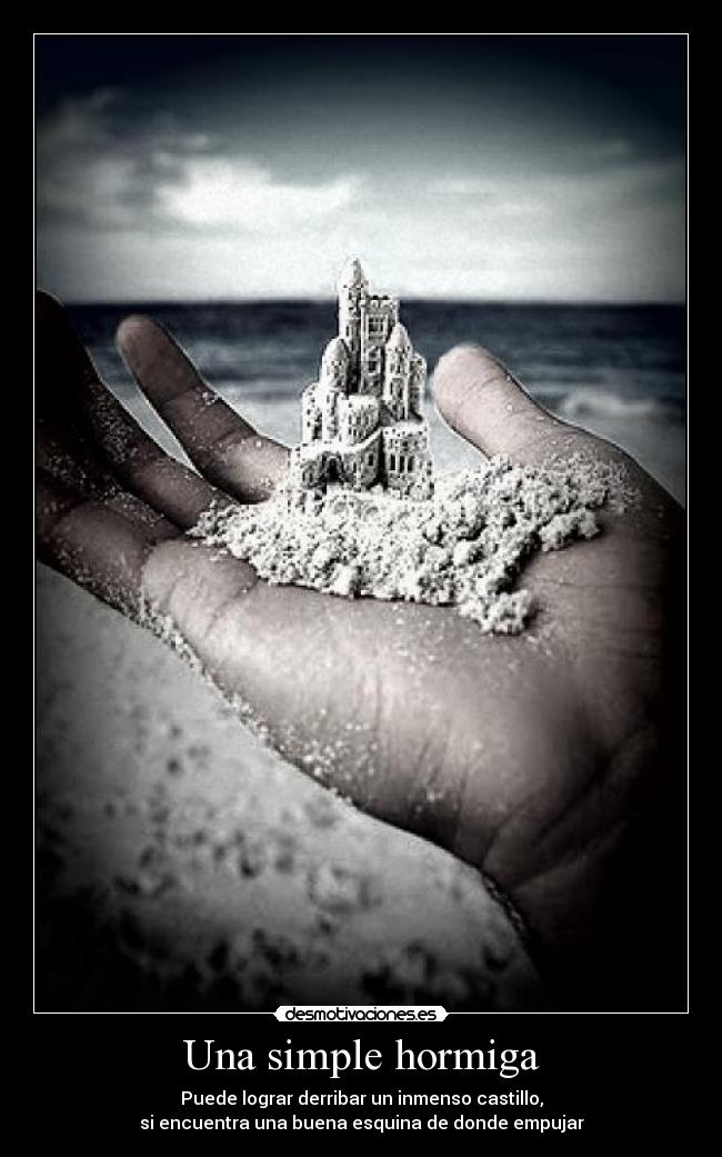 carteles hormigas devoradoras castillos muajajjaj desmotivaciones