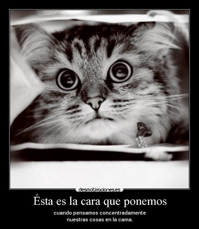 Ésta es la cara que ponemos - cuando pensamos concentradamente
nuestras cosas en la cama.