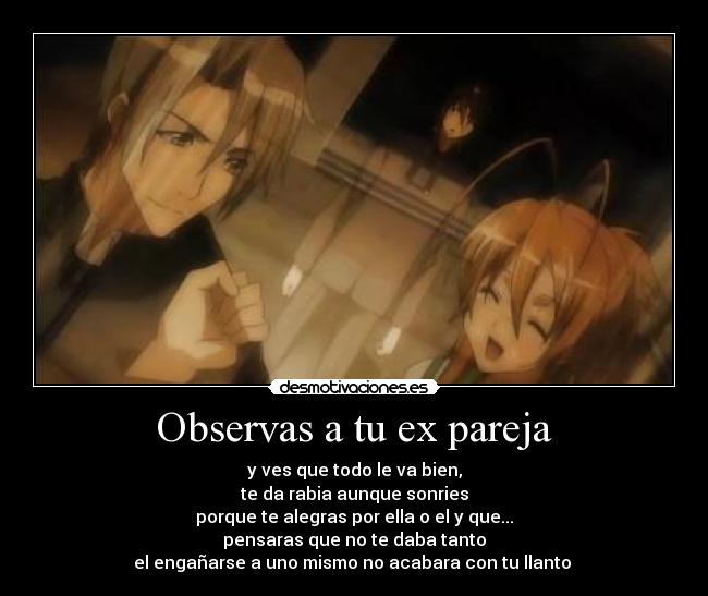 Observas a tu ex pareja -