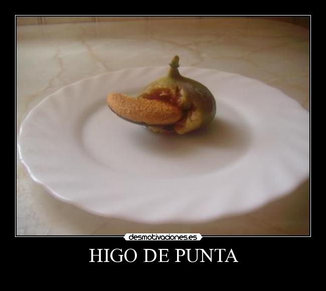 HIGO DE PUNTA -