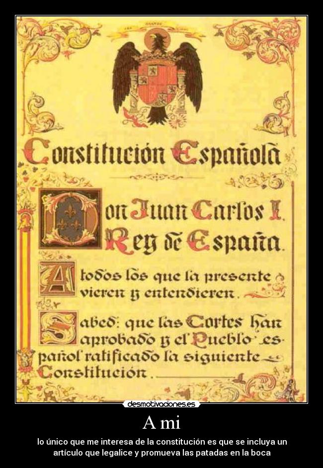 A mi - lo único que me interesa de la constitución es que se incluya un
artículo que legalice y promueva las patadas en la boca