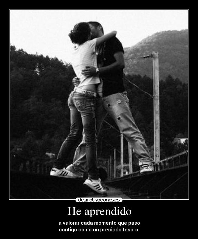 carteles aprendido desmotivaciones