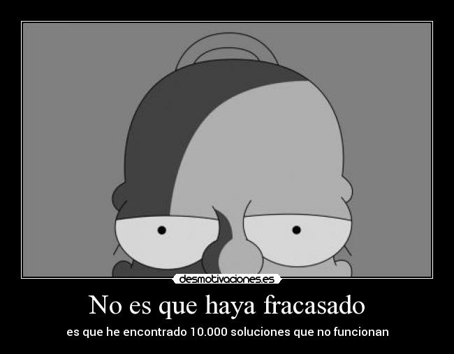 No es que haya fracasado -