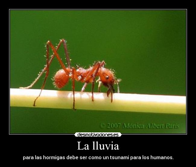 carteles txd desmotivaciones