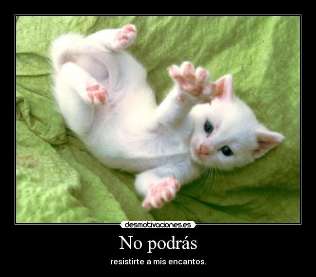 No podrás - resistirte a mis encantos.