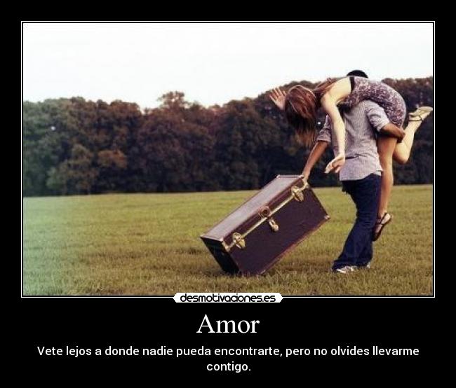 Amor - 