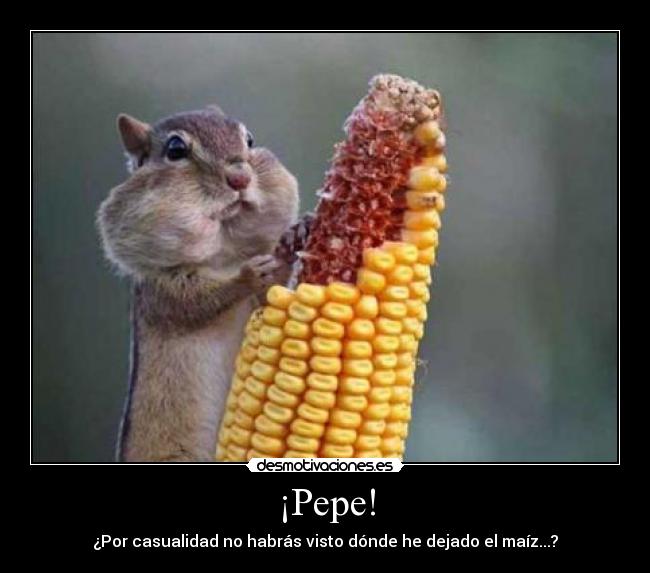 ¡Pepe! - ¿Por casualidad no habrás visto dónde he dejado el maíz...?