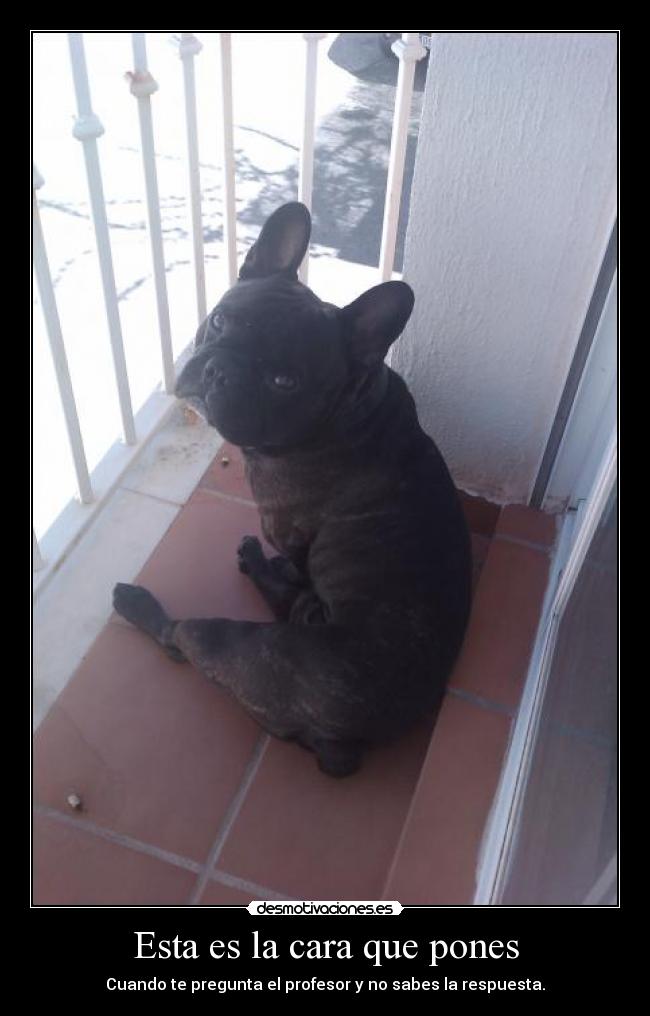 Esta es la cara que pones - Cuando te pregunta el profesor y no sabes la respuesta.