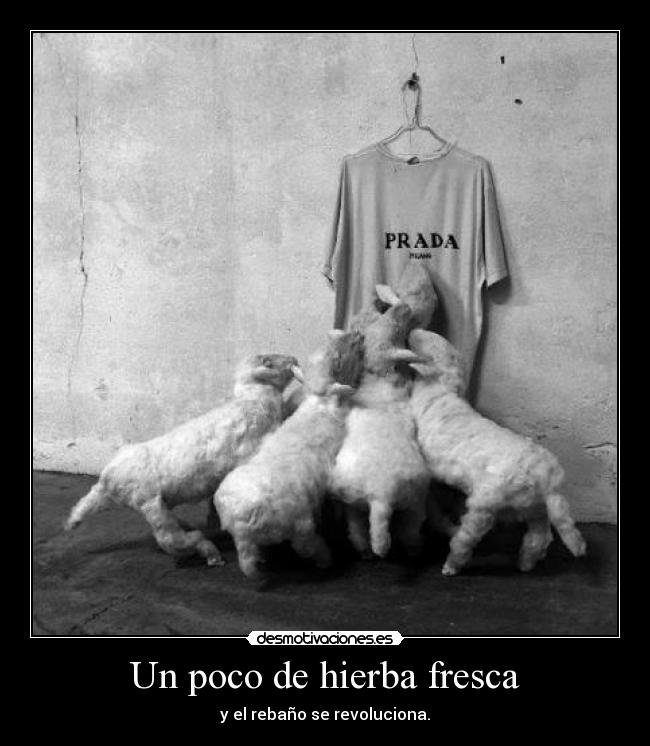 carteles nart consumismo nuevas modas pocos entenderan bellum veritatis desmotivaciones