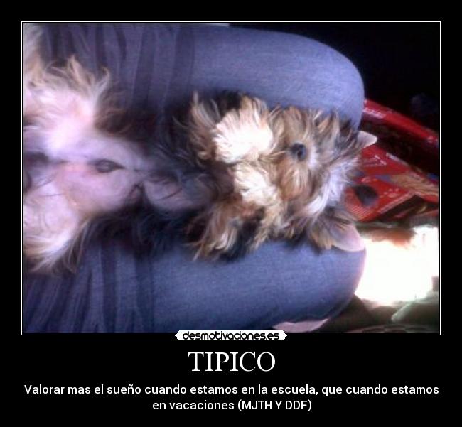 TIPICO - Valorar mas el sueño cuando estamos en la escuela, que cuando estamos
en vacaciones (MJTH Y DDF)