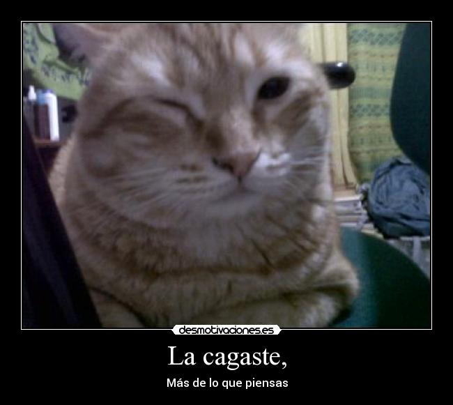 La cagaste, - 