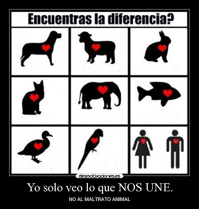 Yo solo veo lo que NOS UNE. -